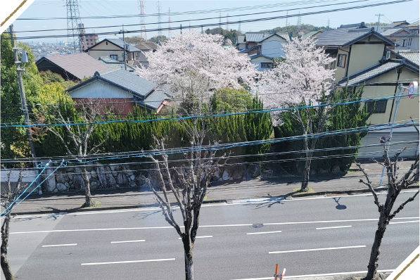 春は桜が見えます